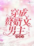 赘婿老公是大佬-胡子阅读