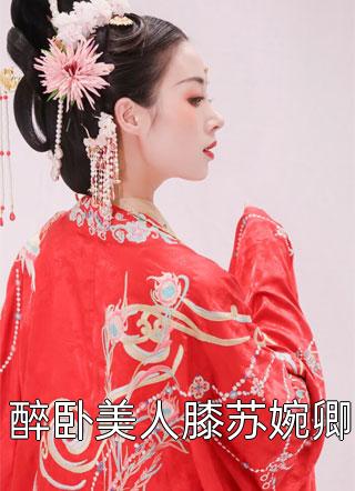 醉卧美人膝苏婉卿