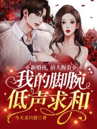 新婚夜前夫握着我的脚腕低声求和-胡子阅读