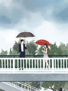 夫人又要作妖-胡子阅读