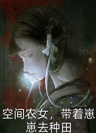 空间农女，带着崽崽去种田-胡子阅读