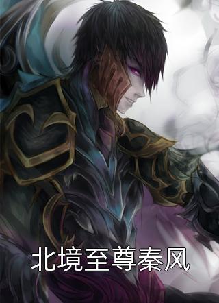 北境至尊秦风