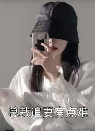 总裁追妻有点难