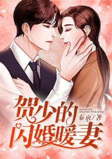 贺少的闪婚暖妻-胡子阅读