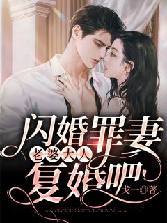 闪婚罪妻：老婆大人，复婚吧-胡子阅读