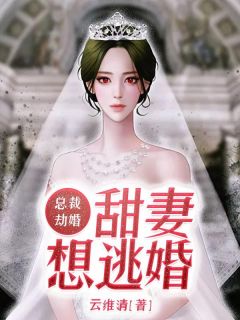 总裁劫婚：甜妻想逃婚-胡子阅读