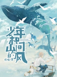少年和山间的风-胡子阅读