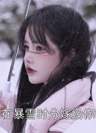 在暴雪时分嫁给你