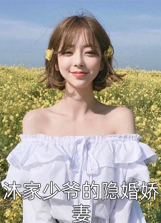 沐家少爷的隐婚娇妻