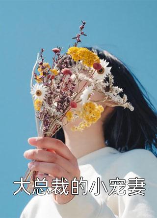 大总裁的小宠妻