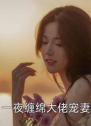 一夜缠绵大佬宠妻