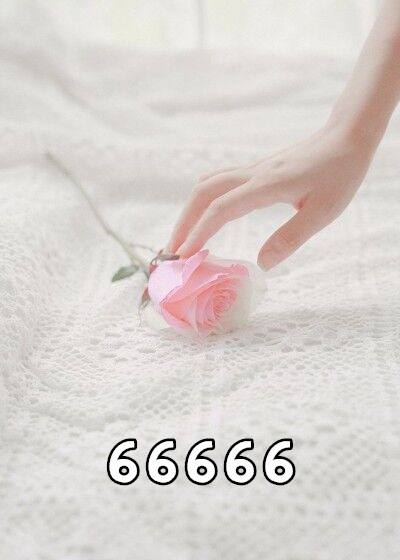 66666-胡子阅读