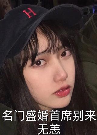 名门盛婚首席别来无恙-胡子阅读