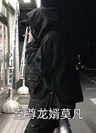 至尊龙婿莫凡