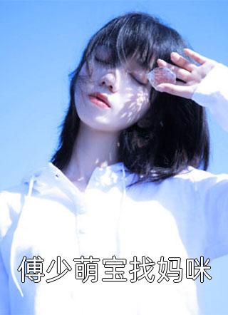 傅少萌宝找妈咪