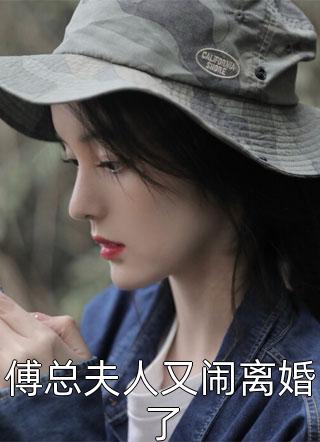 傅总夫人又闹离婚了-胡子阅读