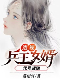 透视兵王女婿（代号战狼）-胡子阅读