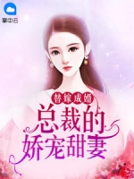 替嫁成婚总裁的娇宠甜妻-胡子阅读