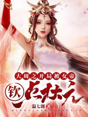 大周之开局被女帝钦点状元-胡子阅读