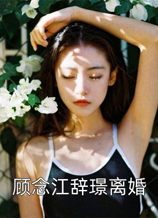 顾念江辞璟离婚