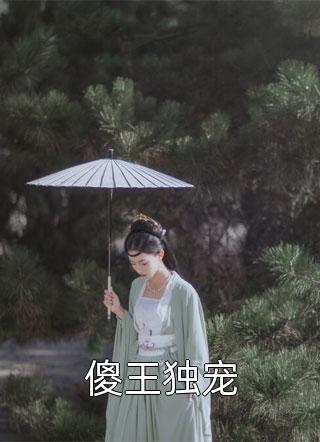 傻王独宠-胡子阅读