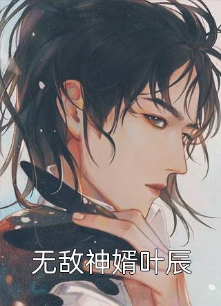 无敌神婿叶辰-胡子阅读