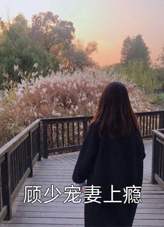 顾少宠妻上瘾