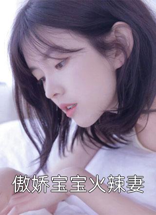 傲娇宝宝火辣妻