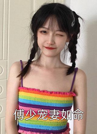 傅少宠妻如命