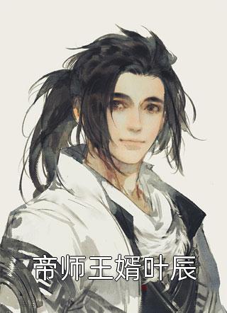 帝师王婿叶辰