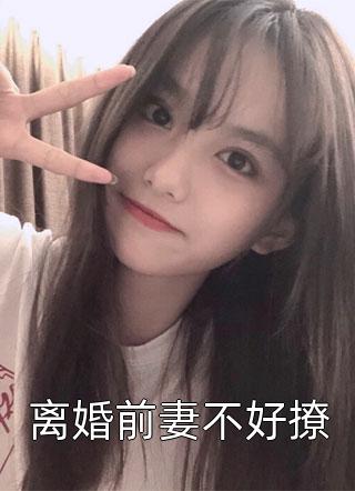 离婚前妻不好撩