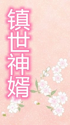 镇世神婿-胡子阅读