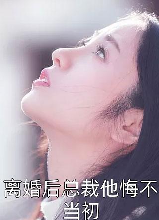 离婚后总裁他悔不当初-胡子阅读