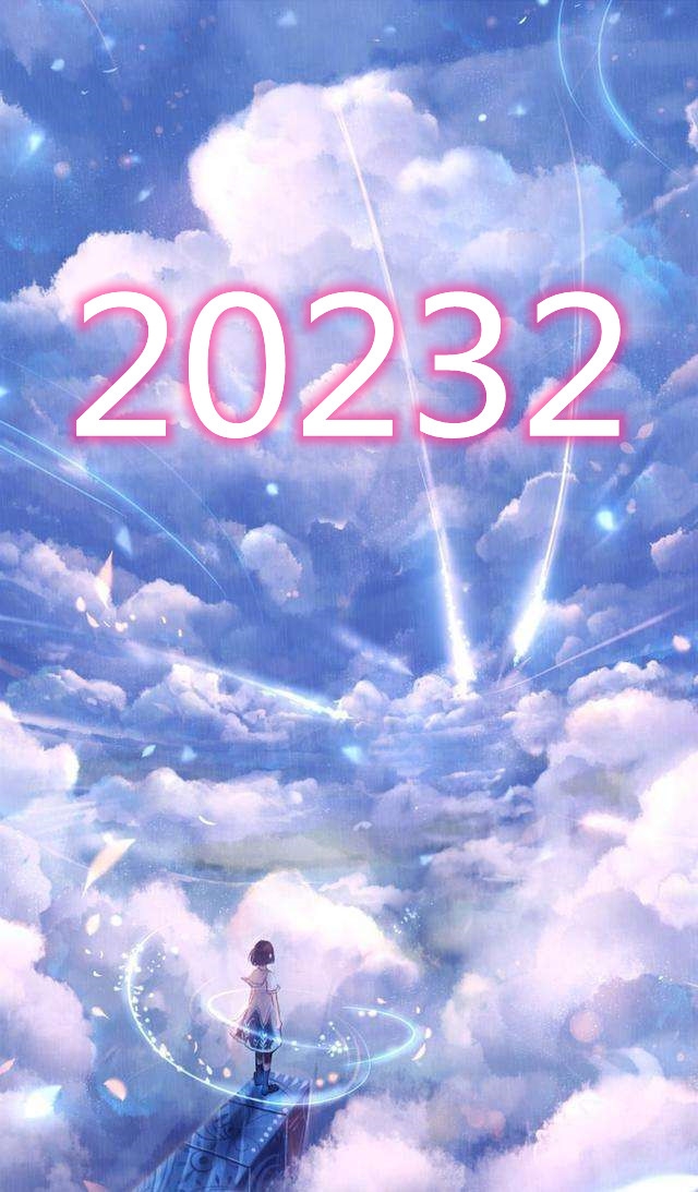 20232