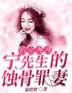 婚途漫漫宁先生的蚀骨罪妻-胡子阅读