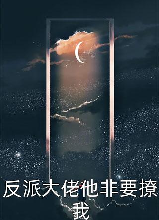 反派大佬他非要撩我