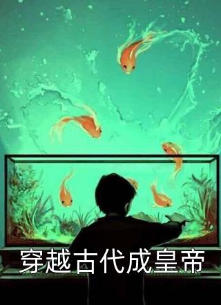 穿越古代成皇帝