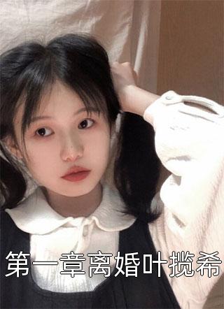 第一章离婚叶揽希-胡子阅读