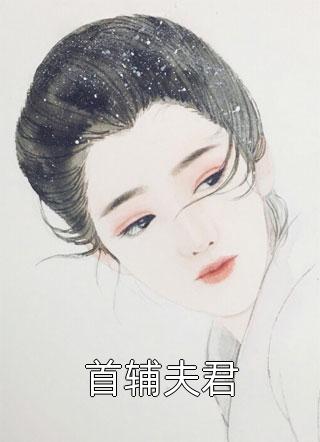 首辅夫君