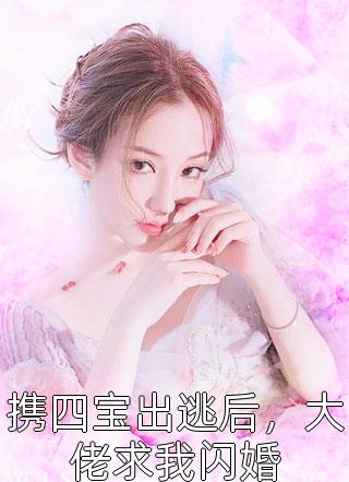 携四宝出逃后，大佬求我闪婚-胡子阅读