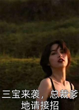 三宝来袭，总裁爹地请接招-胡子阅读