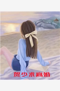 贺少求离婚