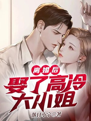 离婚后娶了高冷大小姐