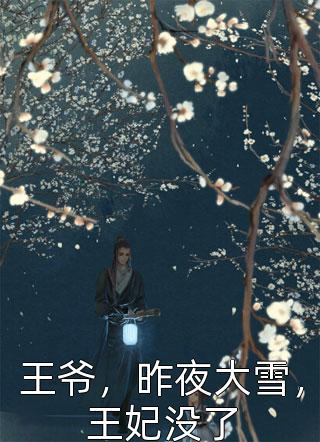 王爷，昨夜大雪，王妃没了