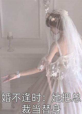 婚不逢时：她把总裁当替身-胡子阅读