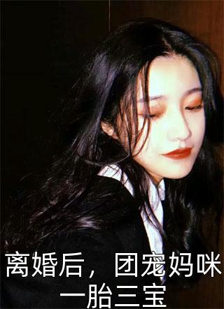 离婚后，团宠妈咪一胎三宝-胡子阅读