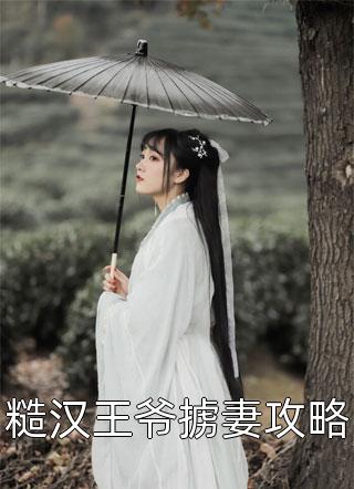 糙汉王爷掳妻攻略