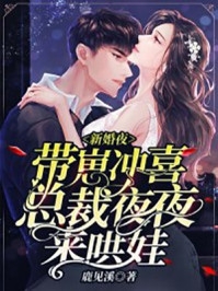 新婚夜带崽冲喜总裁夜夜来哄娃-胡子阅读